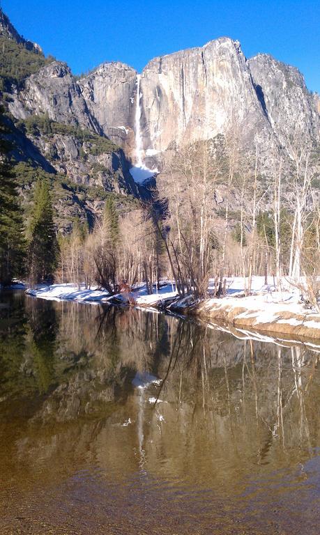 Nature'S Inn Bed And Breakfast Ahwahnee Εξωτερικό φωτογραφία